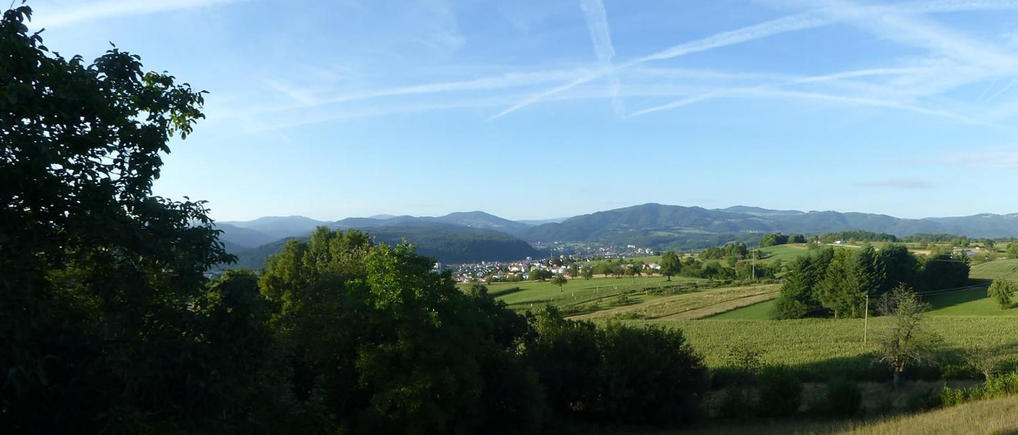 Hotel Hohe Flum Schopfheim Buitenkant foto