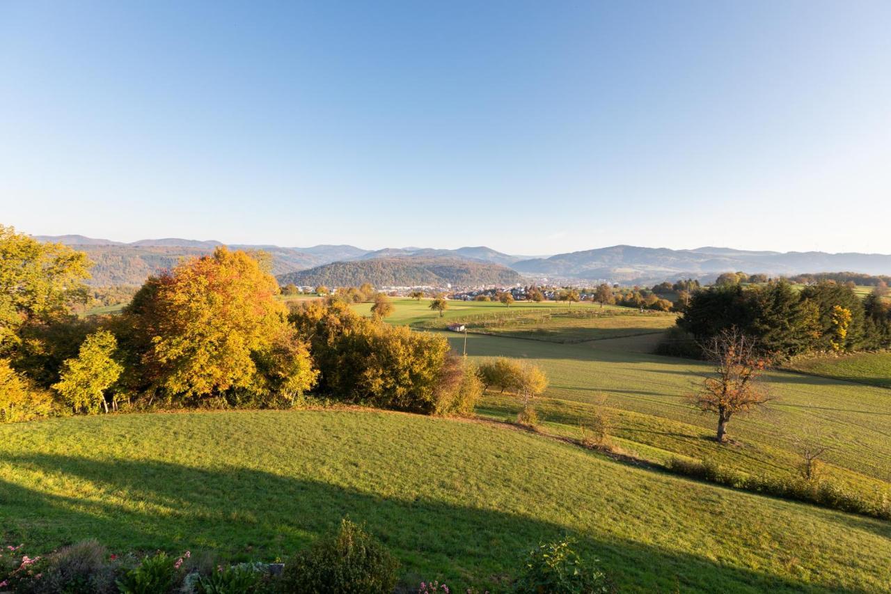 Hotel Hohe Flum Schopfheim Buitenkant foto